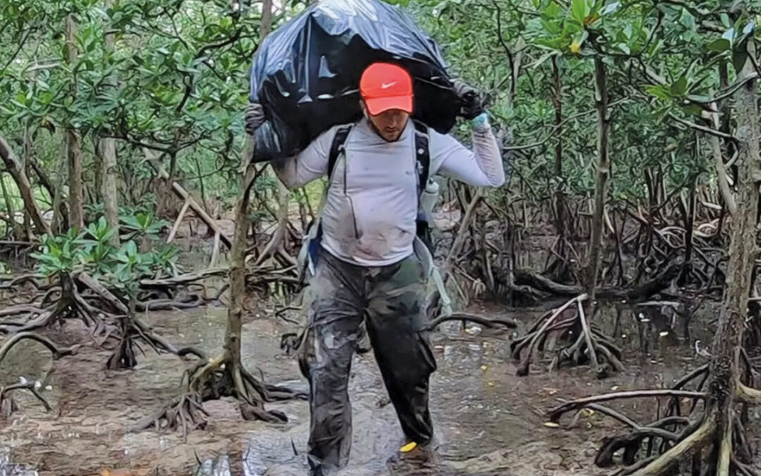 Why I Clean Miami’s Mangroves